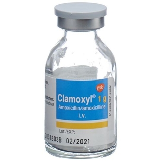 CLAMOXYL INJ LSG 1G I.M/I.V ST