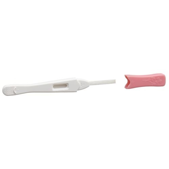 Ind Hcg Midstream Pregnancy Test Mini 2 штуки