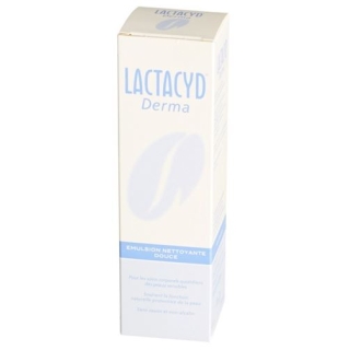 LACTACYD DERMA MILDE WASCH