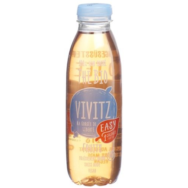 VIVITZ BIO TEE EASY FRUITS