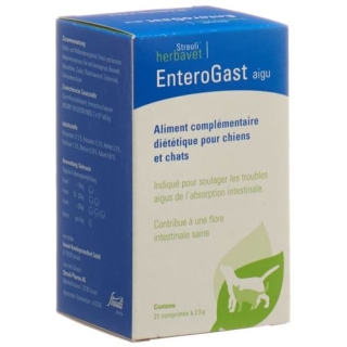 ENTEROGAST AKUT TABL DS 21 STK