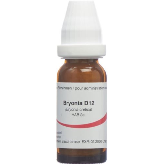 OMIDA BRYONIA D12