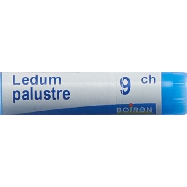 Boiron Ledum Palustre шарики C 9 1 доза