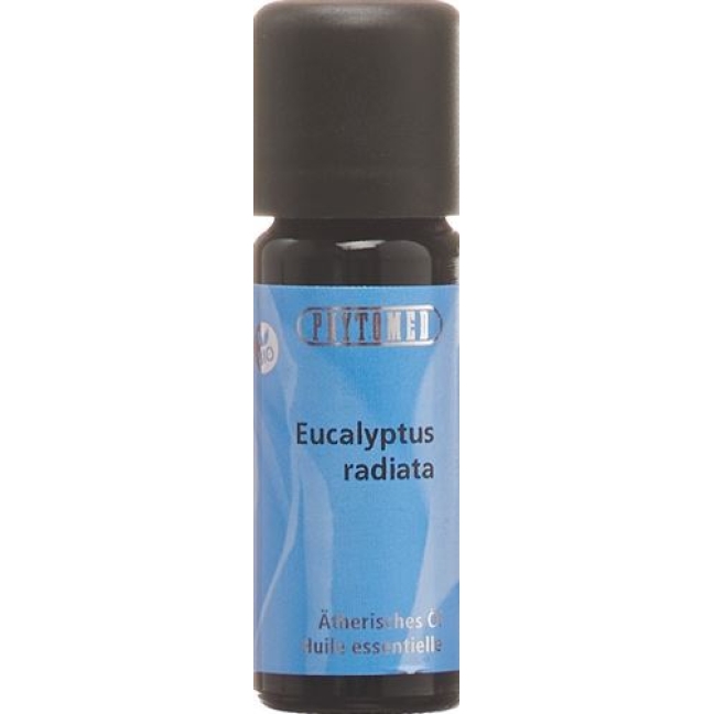 PHYTO EUCALYPTUS RADIATA B