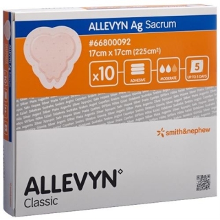 ALLEVYN AG SAC WUNDK 17X17CM