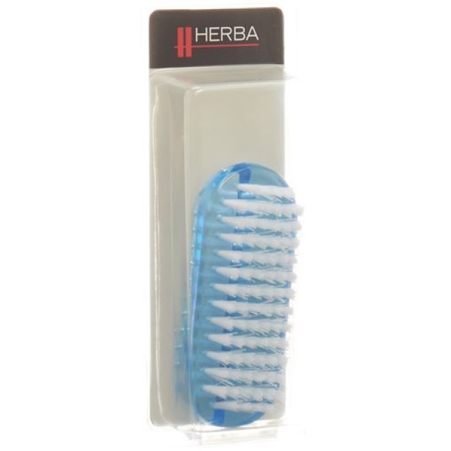 Herba Nagelburste Blau Clear Frosted