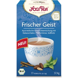 YOGI TEE FRISCHER GEIST