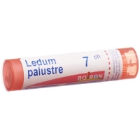 Boiron Ledum Palustre в гранулах C 7 4г