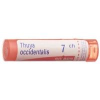 Boiron Thuya Occidentalis в гранулах C 7 4г Boiron Thuya Occidentalis в гранулах C 7 4г