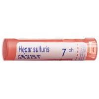 Boiron Hepar Sulfuris Calcareum в гранулах C 7 4г Boiron Hepar Sulfuris Calcareum в гранулах C 7 4г