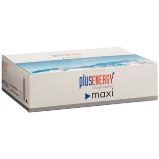 PLUSENERGY MAXI Q10