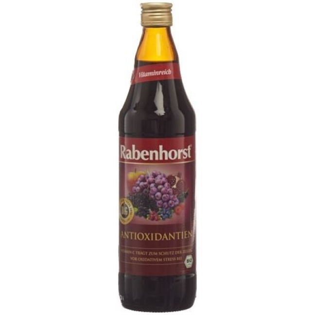 RABENHORST ANTIOXID SAFT BIO