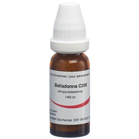 OMIDA BELLADONNA GLOB C 20