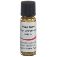OMIDA THUJA GLOB C 200 14 OMIDA THUJA GLOB C 200 14