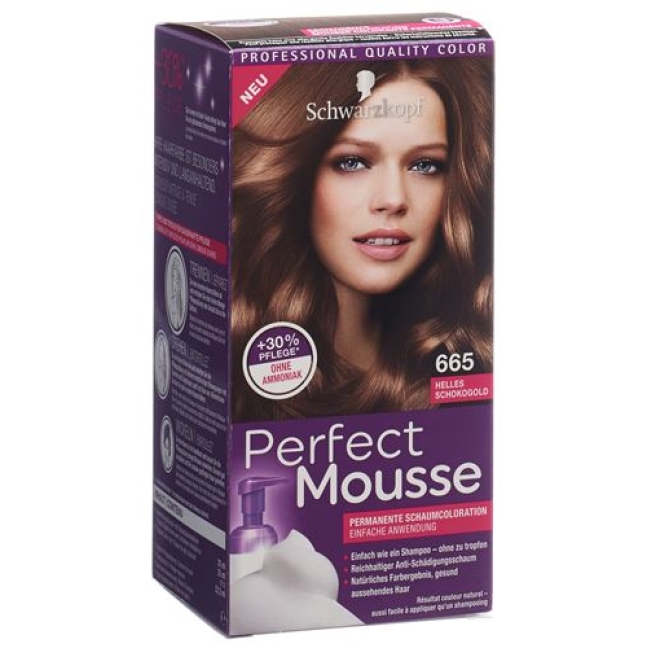 PERFECT MOUSSE 665 H-SCHOKOGOL