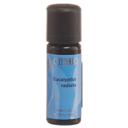 PHYTO EUCALYPTUS RADIATA B