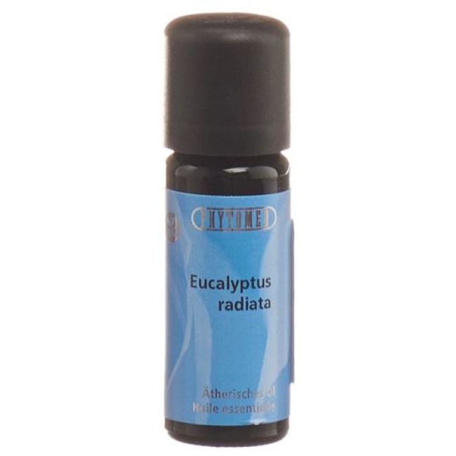 PHYTO EUCALYPTUS RADIATA B