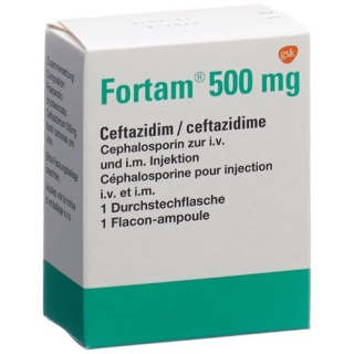 FORTAM TROCKENSUB 500MG