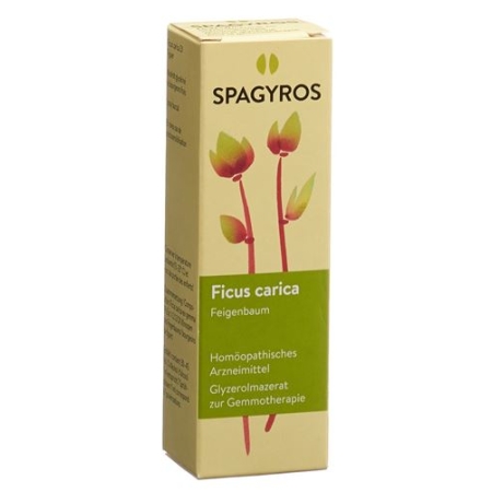 Spagyros Gemmo Ficus Carica Glyc Maz D 1 30мл