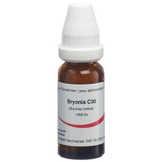 OMIDA BRYONIA GLOB C 30 14