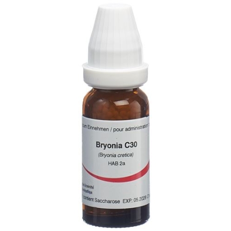 OMIDA BRYONIA GLOB C 30 14