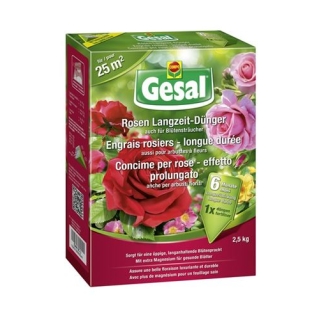 GESAL COMPO ROSEN LANGZ DU