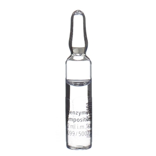 Coenzyme Compositum Heel 10 Ampullen 2.2 ml