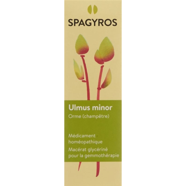 SPAGYROS GEMMO Ulmus minor Glyc Maz D 1