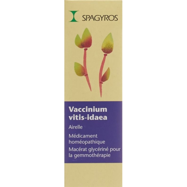 SPAGYROS GEMMO Vacc vit idaea Glyc Maz D 1