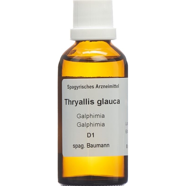 SPAGYROS SPAGYR Thryallis glauca