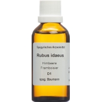 SPAGYROS SPAGYR Rubus idaeus SPAGYROS SPAGYR Rubus idaeus