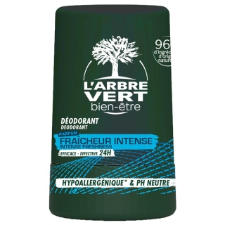 L'ARBRE VERT Öko Deo Roll on Mann Vit B5 FR