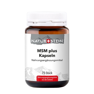 Натуральный камень MSM plus Kaps Glasfl 75 шт.