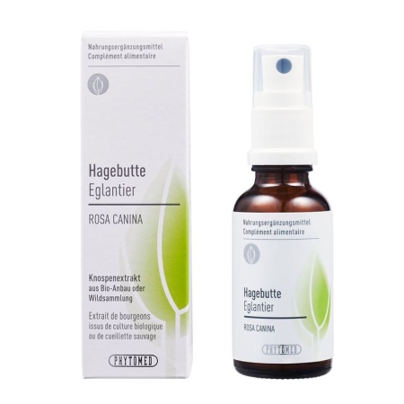 PHYTOMED Knospenextrakt Hagebutte