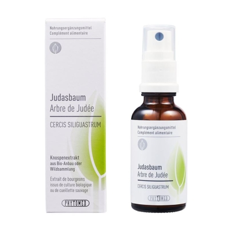 PHYTOMED Knospenextrakt Judasbaum