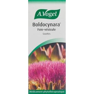 Vogel Boldocynara Leber-Galle Tropfen Flasche 100ml