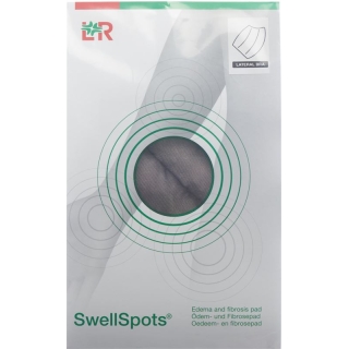 Swell Spots Seitliches Bh Pad 10x16cm Beutel