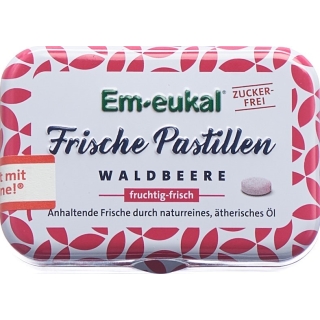 Soldan Em-Eukal Pastillen Waldb Zuckerf Xyl 20g