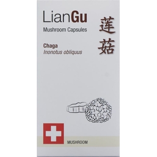 LianGu Chaga Mushrooms Capsules Can 60 Pieces