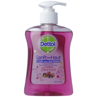 Dettol Pump-Seife Gardenberries 250ml