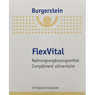 BURGERSTEIN FlexVital Капсулы