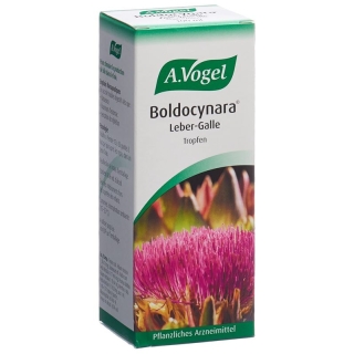 Vogel Boldocynara Leber-Galle Tropfen Flasche 100ml