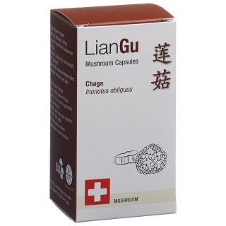 LianGu Chaga Mushrooms Capsules Can 60 Pieces