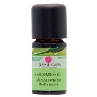 Damascena Krauseminze Ätherisches Öl Bio Flasche 5ml