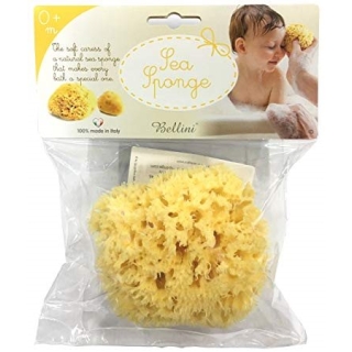 Bellini sea sponge large