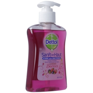 Dettol Pump-Seife Gardenberries 250ml