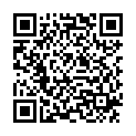 QR IDEAL FLECKENENTFERNER ANTI-RO