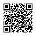 QR Жилетт Боди сменные лезвия 4 шт