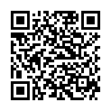 QR Бургерштейн ЦинкВитал 100 таблеток