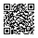 QR ELLAMED VAGINALKONEN 3 FORMEN